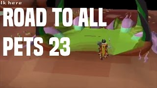 Road To All Pets 23 [upl. by Trevethick]