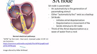 EKG introduction Dubin Chapter 1 [upl. by Norud844]