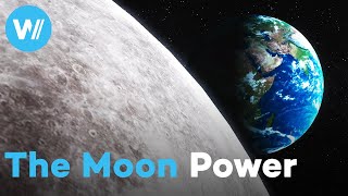 How does the Moon affect the Earth Spectacular lunar phenomena between tides and animal migrations [upl. by Korwin]