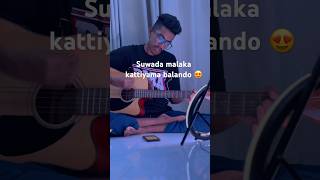 Suwada malaka suwada podak 😍navodinduwara cover hitsong coversong suwadamalaka sudamchamara [upl. by Bromleigh375]