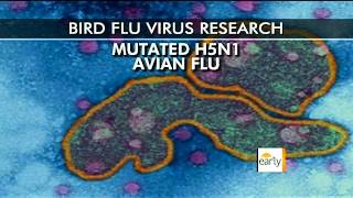 US asks scientists to censor bird flu research [upl. by Emanuela]