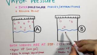 23 Vapor Pressure IMFs and Boiling Point [upl. by Roban]