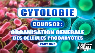 CYTOLOGIE 1ère année  Organisation Générale de la Cellule Procaryote  Partie1 [upl. by Yttocs]