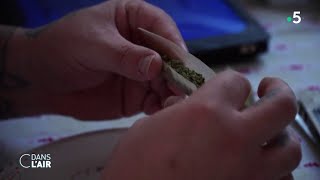 Cannabis  le gouvernement fermement opposé à la légalisation  Reportage cdanslair 30122023 [upl. by Duky51]