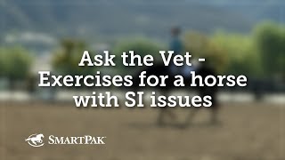 Ask the Vet  Exercises for a horse with SI issues [upl. by Akenom]