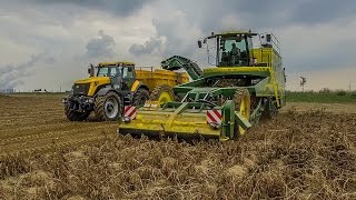 Ploeger AR4W  XXL POTATO HARVEST 2016  2x JCB FAST TRAC  JOHN DEERE 7R [upl. by Liscomb743]