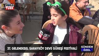 37 Geleneksel Sarayköy Deve Güreşi Festivali [upl. by Johna204]