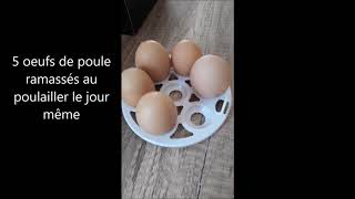 comment utiliser une couveuse œufs de poule [upl. by Rohpotsirhc679]