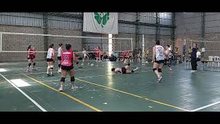 Pelotaris vs San Telmo Primer Set Torneo Carolina Costagrande 13102024 [upl. by Laeynad]