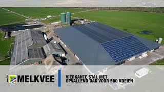 Vierkante stal met opvallend dak voor 500 koeien [upl. by Enelcaj]