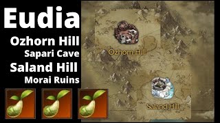 Where to find mococo seeds Eudia Region  Ozhong Hill Saland Hill  Lost Ark Online [upl. by Christan]