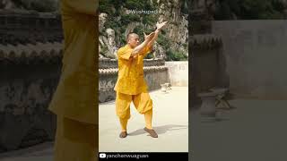 shaolin monk [upl. by Azeel]