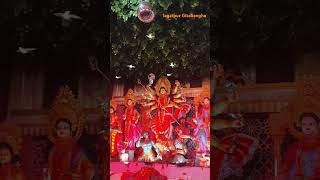 Durga Puja shorts reels durgapuja [upl. by Jennine112]