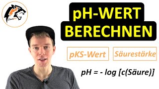 pHWert berechnen inkl pOHWert  Chemie Tutorial [upl. by Teemus158]