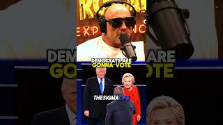 Rogan on Trump Exposing Hillary Clinton [upl. by Maroj]