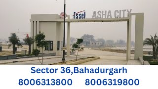 An Another Investment Opportunity In Bahadurgarh An New Project ASHA City Sec 36On Outer By PASS [upl. by Ayota]