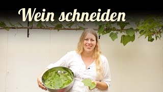 Wein schneiden 🍇 Weinrebenschnitt 🍇 Weinblätter füllen 🍇 Obst im Garten [upl. by Fini]