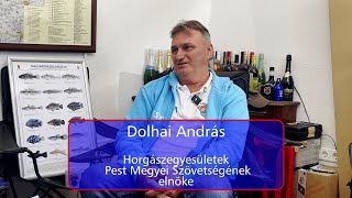 Dolhai András quotNem kell már lasszóval fogni a gyerekeketquot [upl. by Ecirehc]