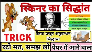 operant conditioning theory of learning by skinner क्रिया प्रसूत सिद्धांत skinner learning theory [upl. by Tibbitts]