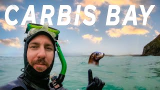 Swimming with seals at Carbis Bay St Ives Cornwall [upl. by Mireielle553]