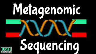 Metagenomic Sequencing  Shotgun Metagenomic Sequencing  Metagenomic NGS  mNGS [upl. by Hedwig207]