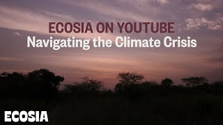 Welcome to Ecosia  Trees and the Climate Crisis Explained [upl. by Dunning322]