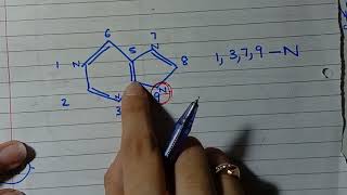 Purine synthesis part2 Easy Trick Biochemistry [upl. by Allesig]