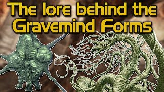 The Lore behind the Flood Gravemind forms [upl. by Arodnap153]