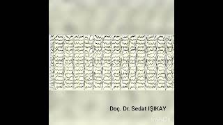 The EEG findings of SSPE Subacute Sclerosing Panencephalitis SSPE [upl. by Anayrb622]