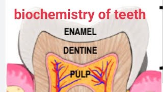 biochemistry of teethrole of saliva on teethproteins of enamel [upl. by Stefa556]