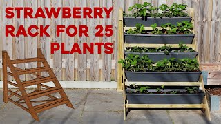 Building a Strawberry Rack for Vertical Gardening Including My Strawberry Strategy [upl. by Iggy]