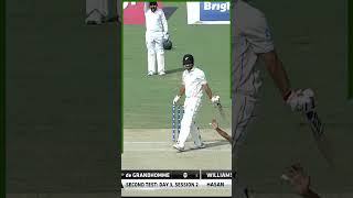 New Zealand All Fall of Wickets PAKvNZ SportsCentral Shorts PCB M8C2k [upl. by Annasus808]