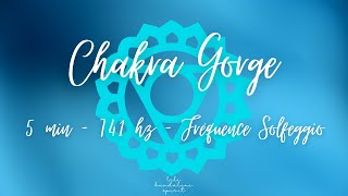 CHAKRA GORGE  5 MINUTES  741 HZ  DEBLOCAGE ENERGETIQUE ET EMOTIONNEL [upl. by Merell883]