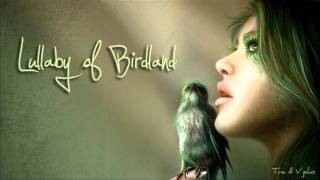 Lullaby of Birdland  Valentina Gyerek [upl. by Anauqcaj]