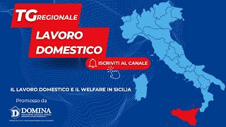 Tg Regionale Lavoro Domestico  Sicilia [upl. by Abrahamsen792]