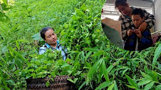 Dinh went into the forest alone to pick vegetables to sell to get money to buy clothes for Thien [upl. by Eerok850]