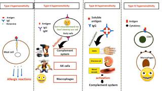 Hypersensitivity types in 4 minutes [upl. by Anoblav50]