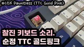 【FAST ASMR】 기계식키보드 타이핑 소리ㅣ콕스 돈틀리스ㅣTTC 골드 핑크 스위치ㅣ커스텀키보드ㅣ공부 수면 팅글 ASMRㅣ중간광고 없음ㅣNo Talking [upl. by Alleuqram]