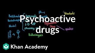 Overview of psychoactive drugs  Processing the Environment  MCAT  Khan Academy [upl. by Jecoa357]