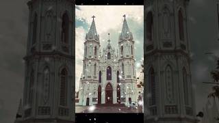 Shrine Basilica  Vailankanni shortsfeed vailankanni velankanni shorts youtubeshorts video yt [upl. by Ecnahs]