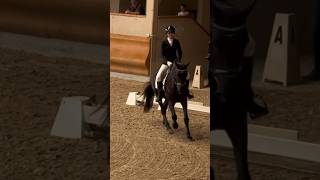 Venerdì e sabato sarò ai campionati Regionali a Sommacampagna 🥰 dressage [upl. by Therron]