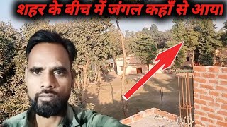 शहर के बीच में जंगल कहाँ से आया  daily vlog [upl. by Jarrad592]