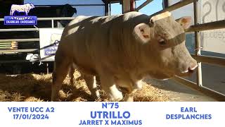 N°75 UTRILLO  EARL DESPLANCHES  JARRET x MAXIMUS [upl. by Werdnaed]