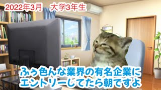 落ちこぼれ大学生の就活編【新卒】猫マニ 猫ミーム [upl. by Eilyak]