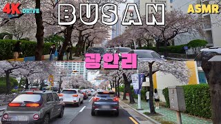 벚꽃 피기 시작한 광안리 드라이브 4k Driving ASMR Beautiful Road [upl. by Mojgan]