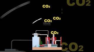 Carbon Capture Tech Explained for Kids [upl. by Eyllom]