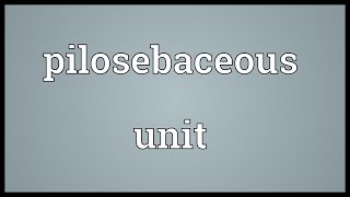 Pilosebaceous unit Meaning [upl. by Ridley220]