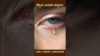 Lacrimal amp Limbic System😭factsintelugu youtubeshorts shortsfeed [upl. by Odlabu]