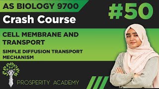Simple Diffusion  Transport Mechanism  Cell Membrane and Transport  9700 AS Biology UrduHindi [upl. by Ninazan]