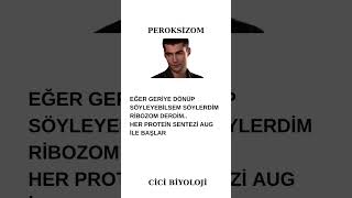 Peroksizom Her protein sentezi AUG ile başlar [upl. by Gabriel]